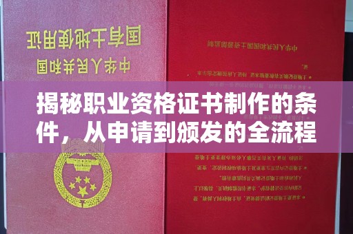 乳源揭秘职业资格证书制作的条件，从申请到颁发的全流程解析
